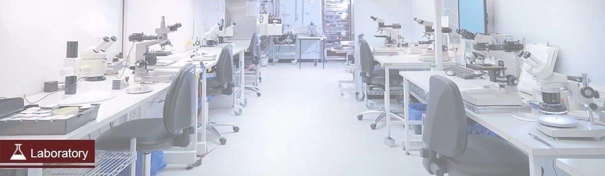 China best ESD Cleanroom Chairs on sales